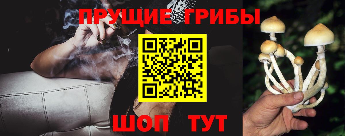 купить  цена  Галлюциногенные грибы мухоморы  Вход с VPN  Челябинск 
